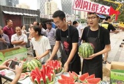 朝阳吃瓜群众网